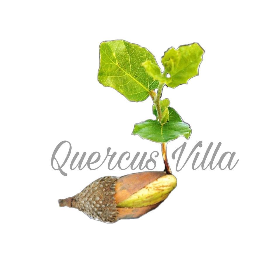 Quercus Villa セシンブラ エクステリア 写真